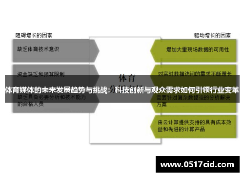 体育媒体的未来发展趋势与挑战：科技创新与观众需求如何引领行业变革