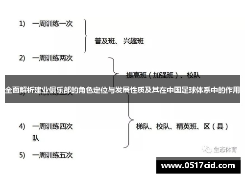 全面解析建业俱乐部的角色定位与发展性质及其在中国足球体系中的作用